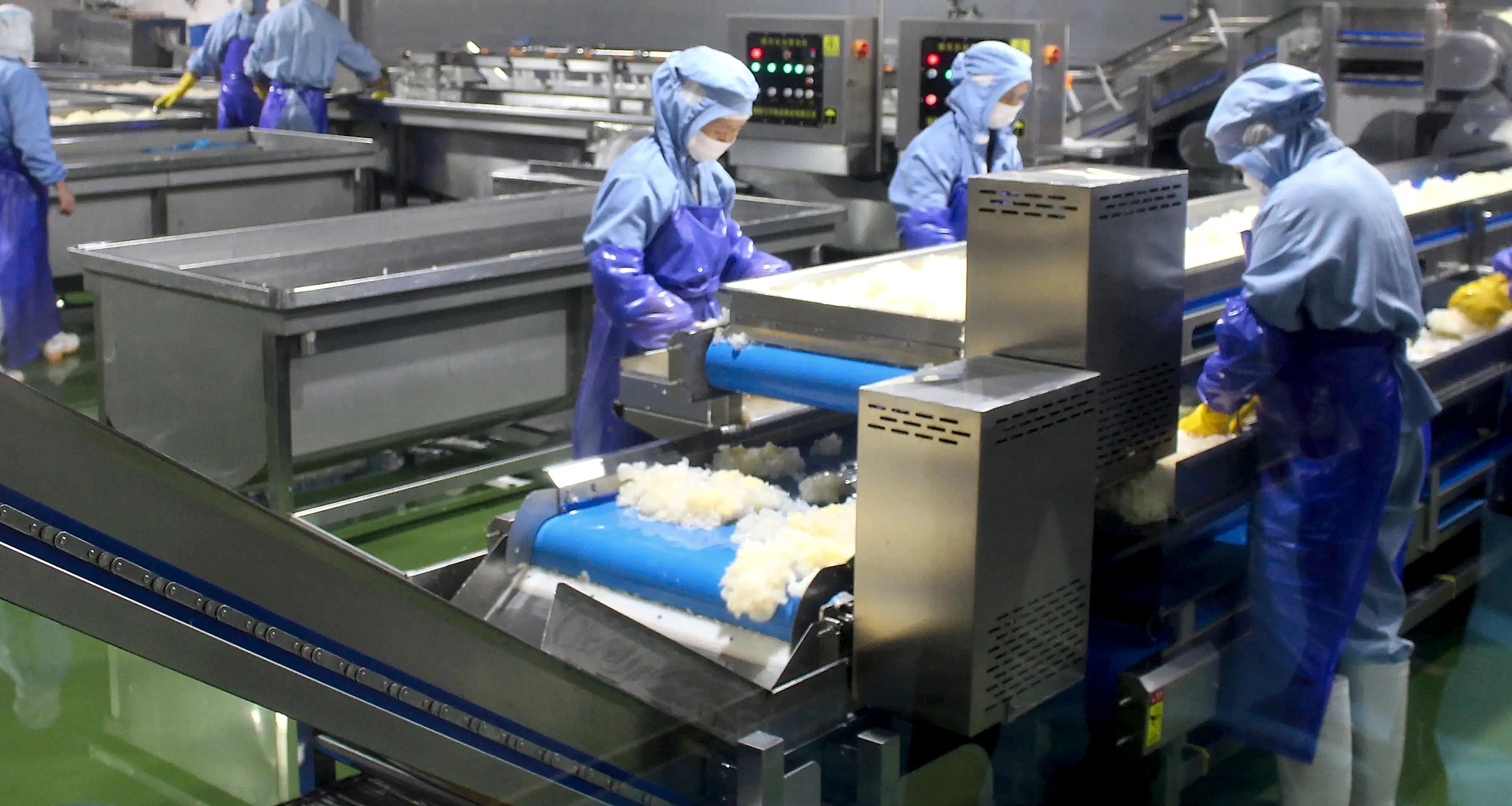 Industrial IQF freezing line in a food processing factory