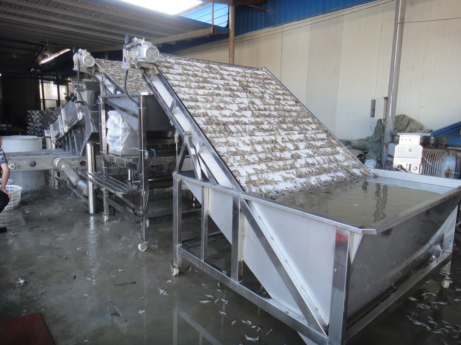 Shrimp grading machine site view 3