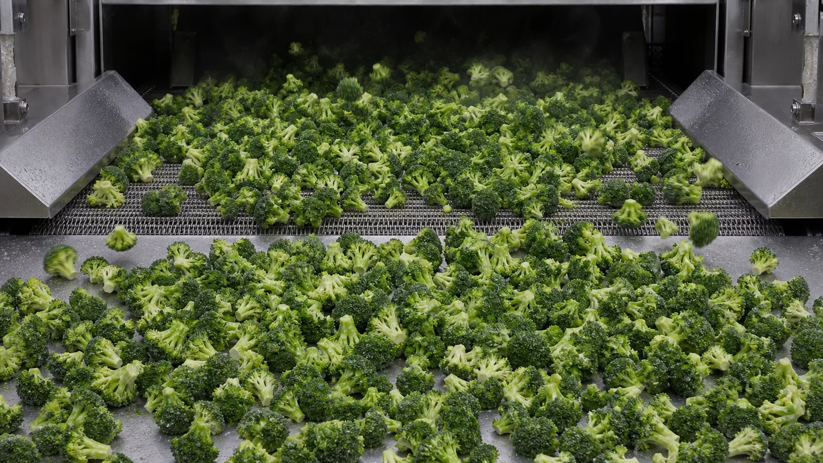 Broccoli and green vegetables