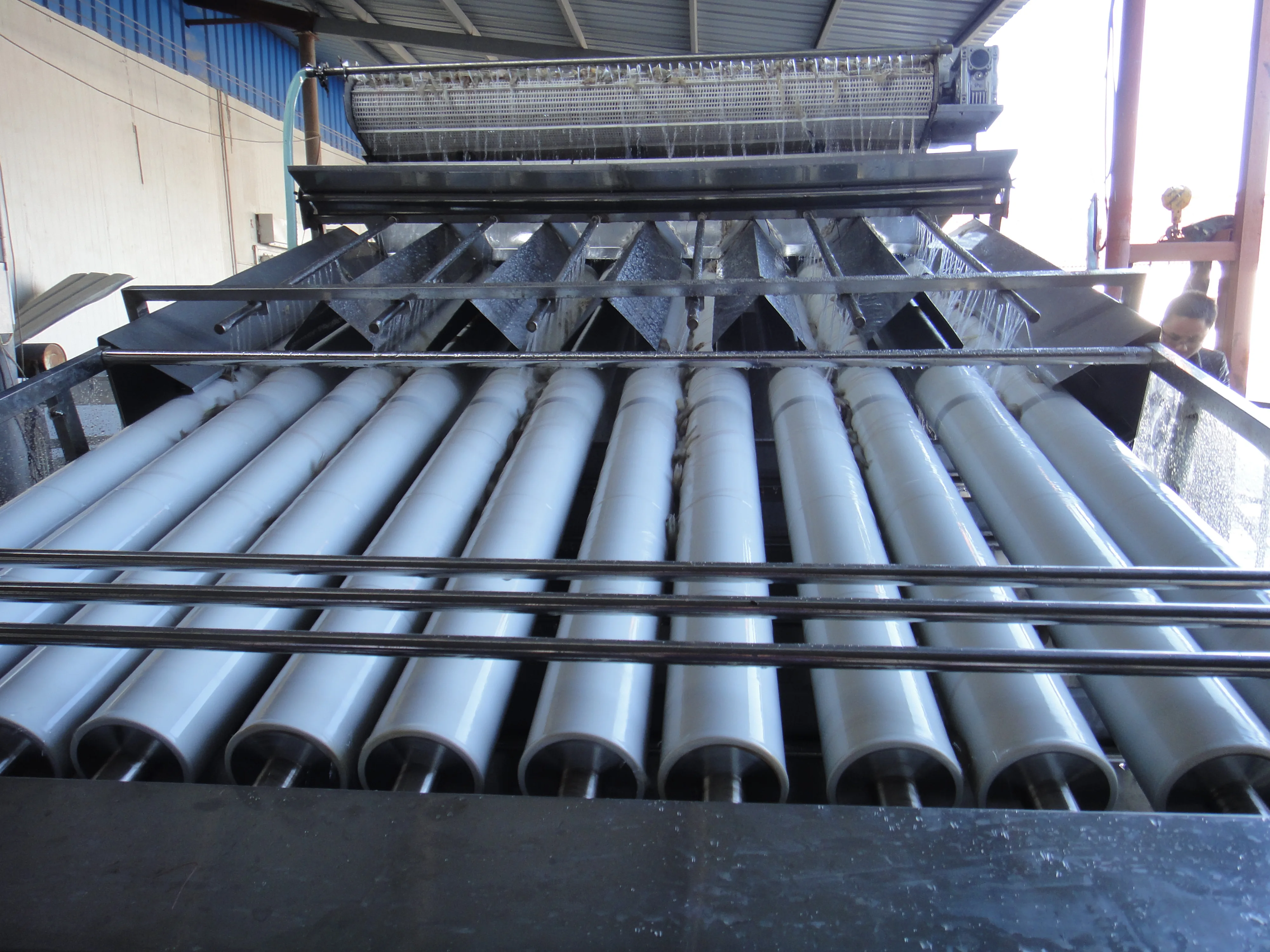 Shrimp Grading Machine detail