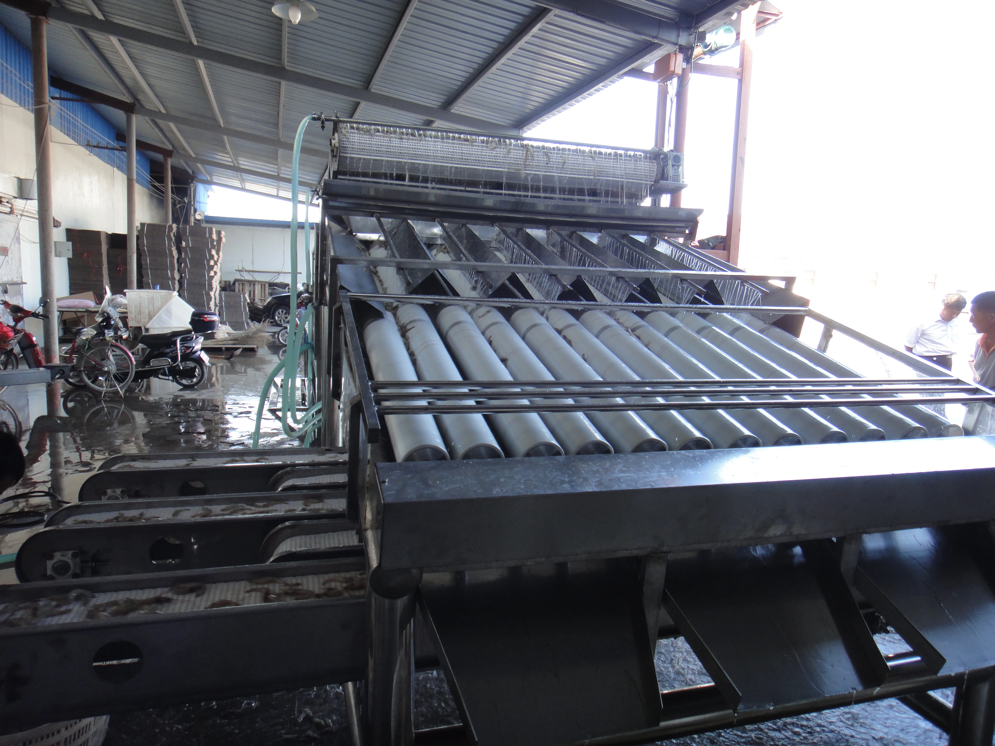 Shrimp Grading Machine detail