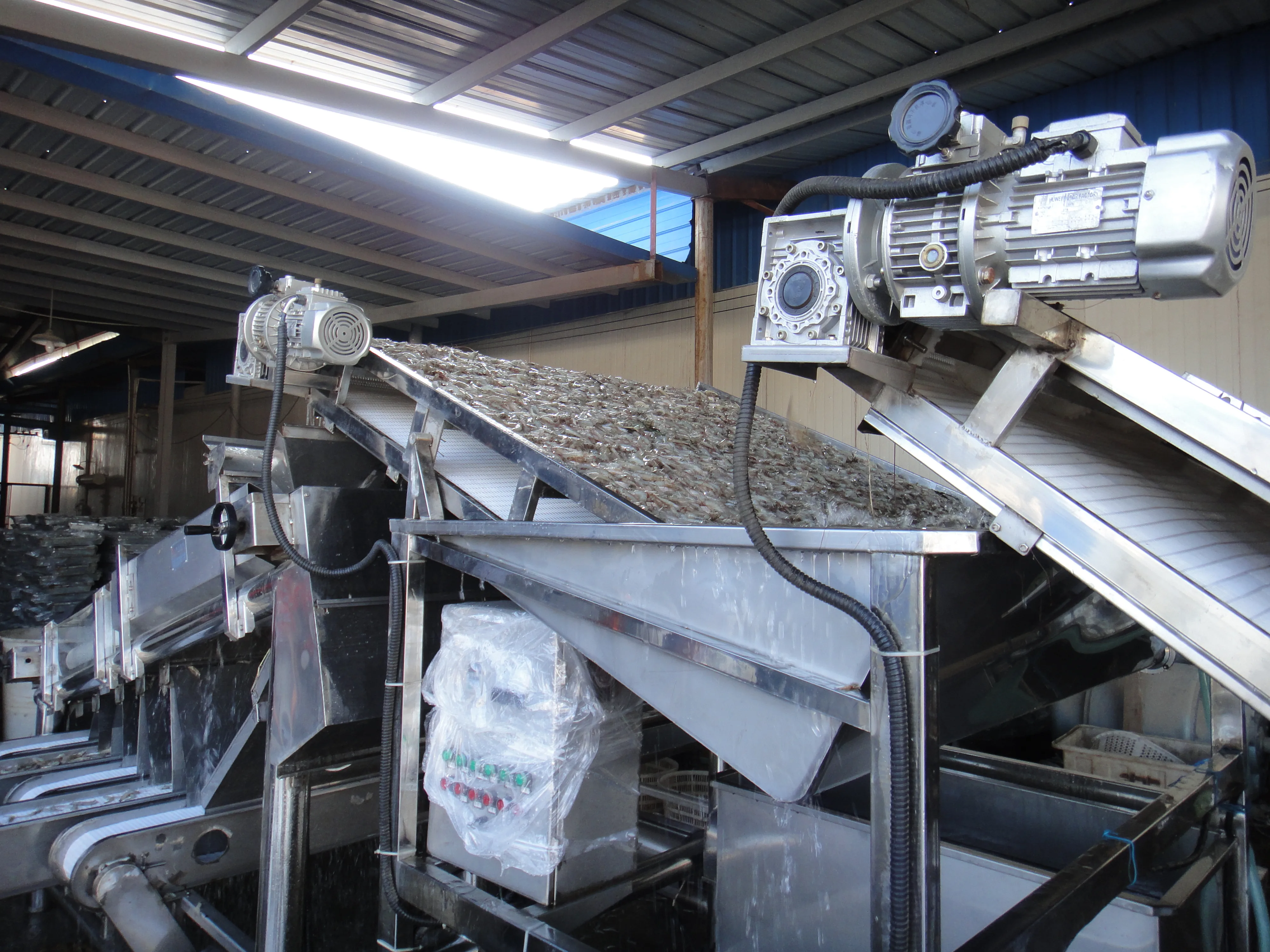 Shrimp Grading Machine detail