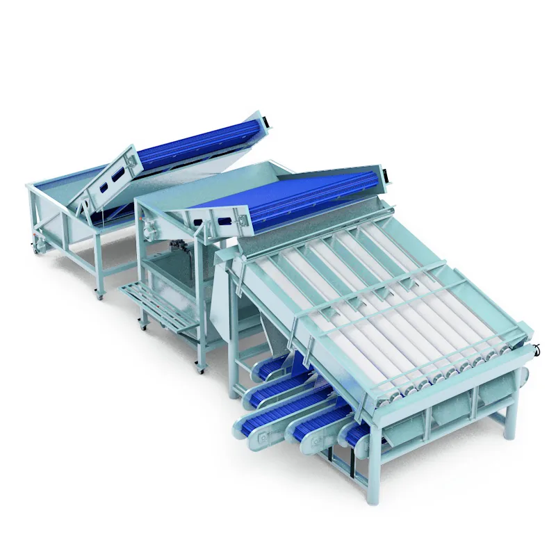 Shrimp Grading Machine