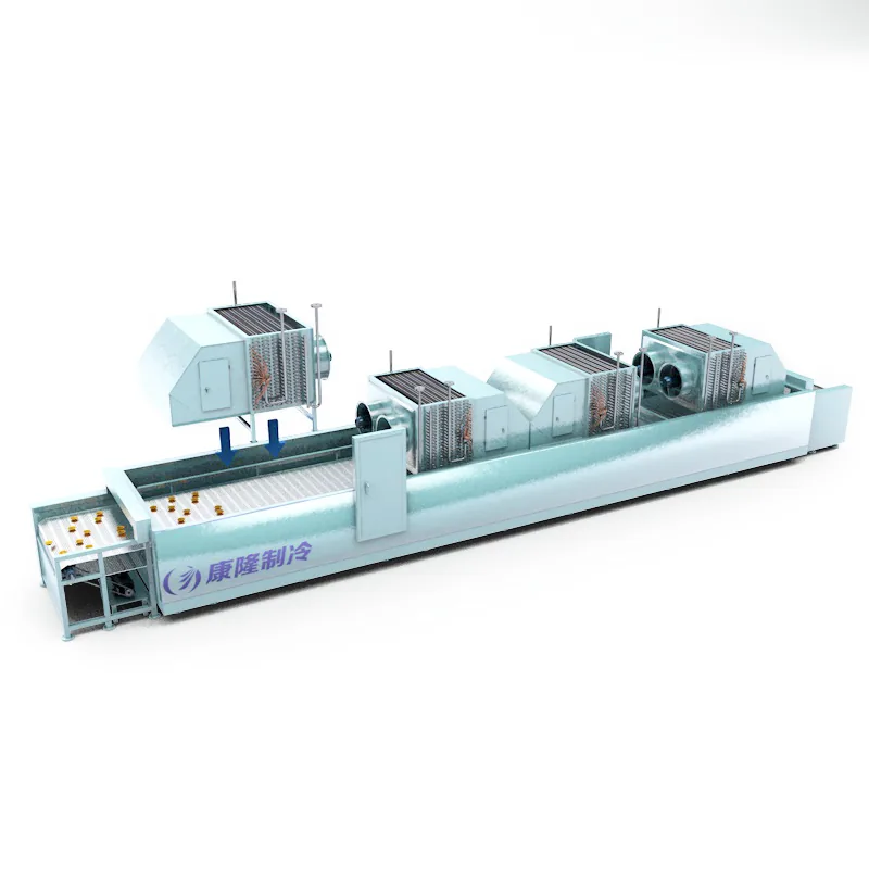 Tunnel IQF Freezer